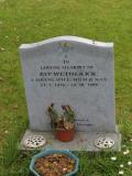 image of grave number 490697